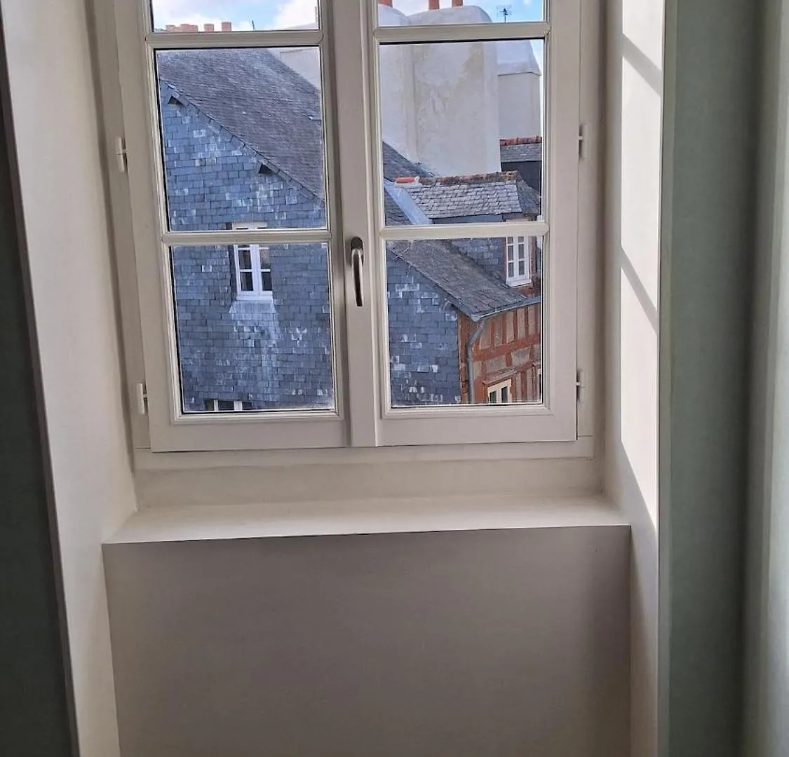 公寓 Chic Et Cozy Duplex Dans Le Centre Ville De 瓦讷 法国